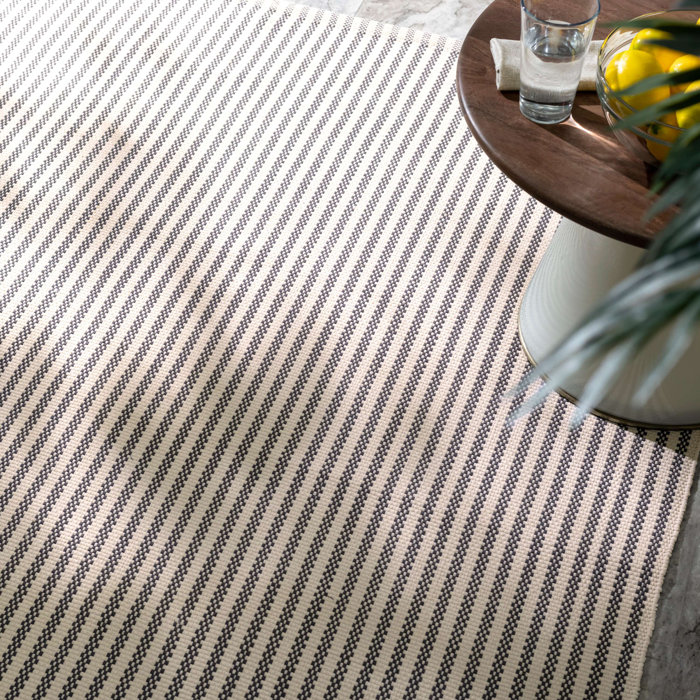 Home Conservatory Pinstripe Grey/Ivory Handwoven Indoor/Outdoor Rug